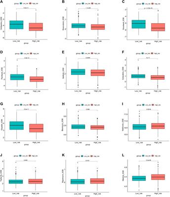 Integrative bioinformatics approaches to establish potential prognostic immune-related genes signature and drugs in the non-small cell lung cancer microenvironment